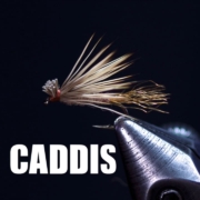 X-Caddis