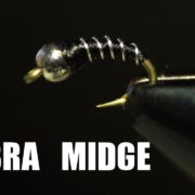 Zebra-Midge