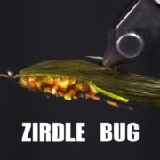 Zirdle-Bug