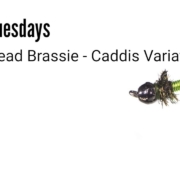 Bead-Head-Brassie-Fly-Tying