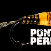 Ponty-Perdi