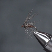 Soft-Hackle-Pheasant-Tail