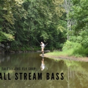 One-Small-Stream-Bass