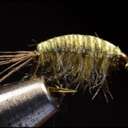 Scud-Fly-Tying-Tied-by-Charlie-Craven