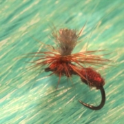 Tying-a-Red-Parachute-Ant-with-Martyn-White-dry-fly