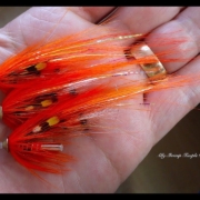 Tying-an-Ally-Shrimp-Temple-Dog-Salmon-Fly-by-Davie-McPhail