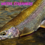 Fishing-Streamers-on-Floating-Line-in-Shallow-Riffles-Edges