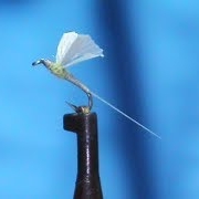 Fly-Tying-a-GB-No-Hackle-BWO-with-Jim-Misiura