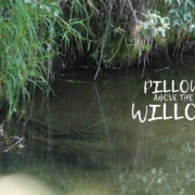 Pillow-Above-Willow
