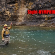 Sight-Nymphing-Clear-Mountain-Rivers