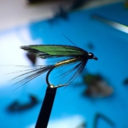 Tying-the-Morton-Gold-Wet-Fly-with-Davie-McPhail