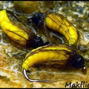 Fly-Tying-Caddis-Larva-by-Mak