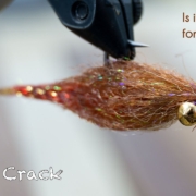 Redfish-Crack-Yeah-it-catches-more-than-just-reds...-McFly-Angler-Saltwater-Fly-Tying-Tutorials