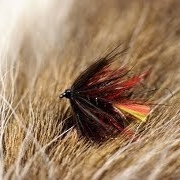 Tying-a-Clan-Chief-with-Martyn-White-wet-fly
