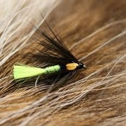 Tying-a-Fionn-Spider-with-Martyn-White-wet-fly