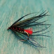 Tying-a-Goats-Toe-with-Martyn-White-wet-fly