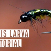 Caddis-Larva-Fly-Tying-Tutorial