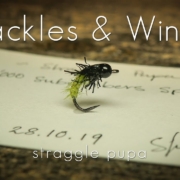 Fly-Tying-Straggle-Pupa-Hackles-Wings