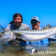 How-To-Catch-Barracuda-On-The-Fly