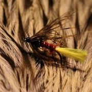 Tying-Harrolds-Grous-Claret-with-Martyn-White-wet-fly