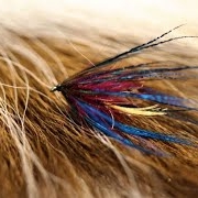Tying-a-Brigadier-with-Martyn-White-wet-fly