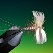 Tying-a-Spent-Mayfly-with-Barry-Ord-Clarke