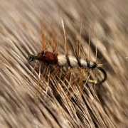 Tying-a-Super-Pupa-with-Martyn-White-dry-fly