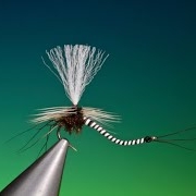 Tying-a-Reversed-Parachute-mayfly-with-Barry-Ord-Clarke