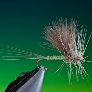 Tying-a-Thorax-Dun-with-Barry-Ord-Clarke