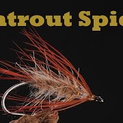 Vi-binder-en-Seatrout-Spider