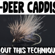 CDC-Deer-Hair-Caddis-Deer-for-Hackle