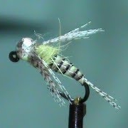 Fly-Tying-a-Synthetic-Quill-Jig-Fly-with-Jim-Misiura