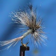 Beginner-Fly-Tying-a-Poly-Wing-Adams-with-Jim-Misiura