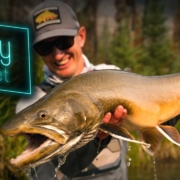 Bully-Buffet-GIANT-Bull-Trout-Fly-Fishing
