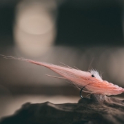 FLY-TYING-Pattegrisen-the-most-ICONIC-fly-of-all-TUTORIAL