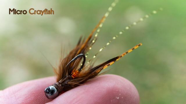 Micro-Crayfish-Jigged-Nymph-and-streamer-McFly-Angler-Fly-Tying-Tutorial