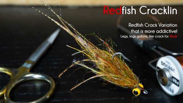 Redfish-Cracklin-Leggy-Redfish-Crack-on-Steroids-McFly-Angler-Saltwater-Fly-Tying-Tutorial