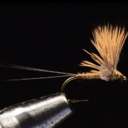 Comparadun-Fly-Tying-Tied-by-Charlie-Craven