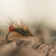 FLY-TYING-Red-Tag-Palmer-TUTORIAL