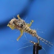 Fly-Tying-a-LivelyLegz-Wood-Duck-Nymph-with-Jim-Misiura