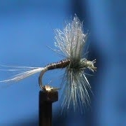 Fly-Tying-a-Moose-Mane-Blue-Quill-with-Jim-Misiura
