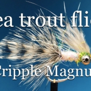 Sea-trout-flies.-E-7.-Cripple-Magnus-size-6.-With-Eivind-Berulfsen