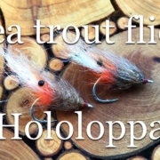 Sea-trout-flies.-My-box.-Fly-No-10.-Hololoppa-size-6.-With-Eivind-Berulfsen