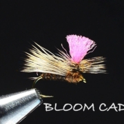 Bloom-Caddis-Fly-Tying-Video-Tied-By-Charlie-Craven