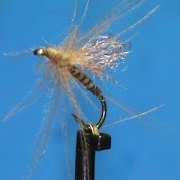 Fly-Tying-a-Loop-Wing-Cripple-with-Jim-Misiura