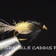 Sparkle-Caddis-Pupa-Fly-Tying-Video-Tied-By-Charlie-Craven