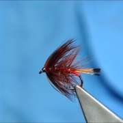 Tying-a-Fiery-Brown-Bumble-WetBob-Fly-with-Davie-McPhail