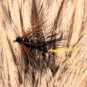 Tying-a-Kate-McLaren-with-Martyn-White