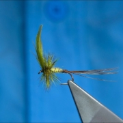 Tying-a-Rollover-MayFly-Irish-Lough-Style-Dry-Fly-with-Davie-McPhail