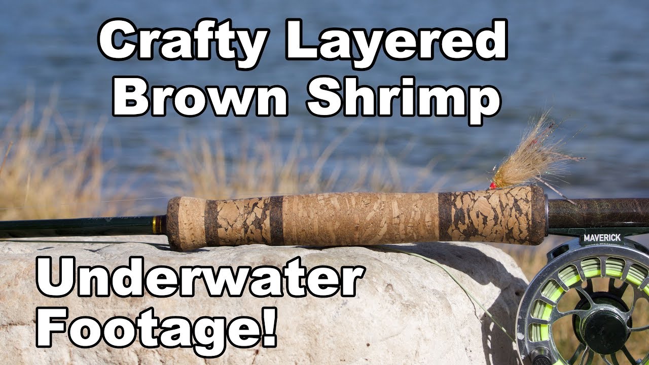 Crafty-Layered-Shrimp-UNDERWATER-FOOTAGE-McFly-Angler-Fly-Tying-Tutorial